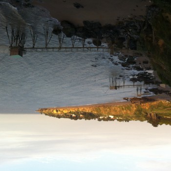 Lucianna - Biard - Vienne | Sexe Femme